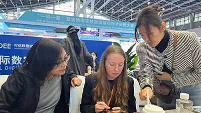 Internationale Digital-Wirtschafts-Expo in China (2025)